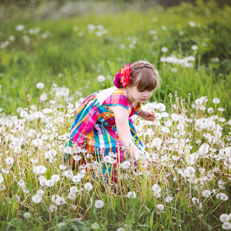 Image petite fille dans la nature